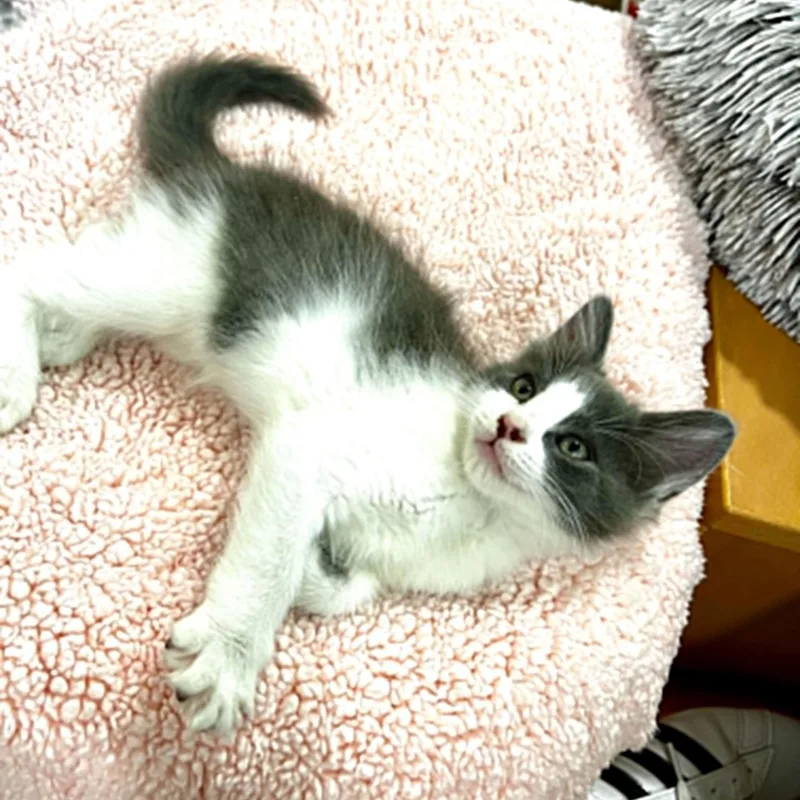 Lexie thumbnail 2