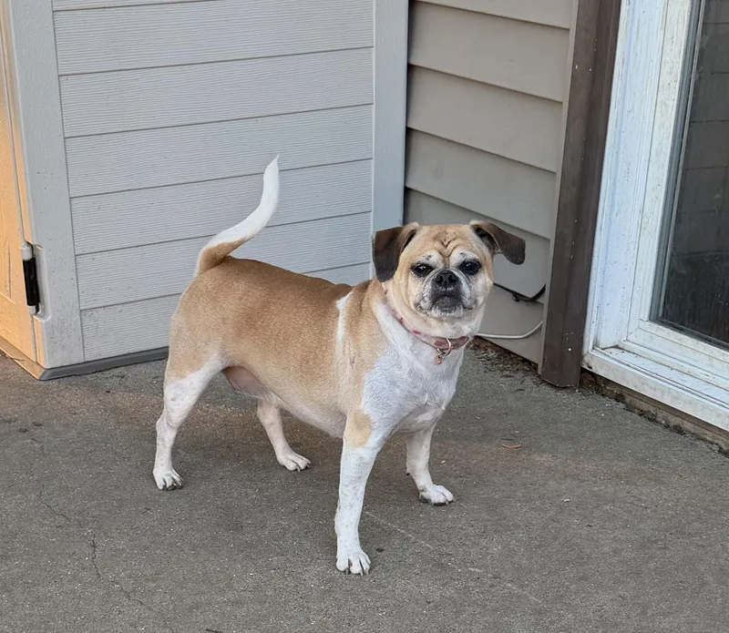 Gertie thumbnail 4
