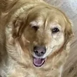 Lola