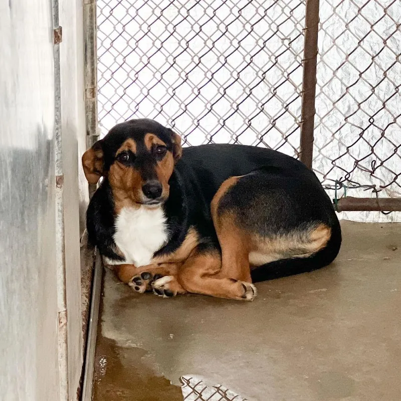 Conchita thumbnail 2