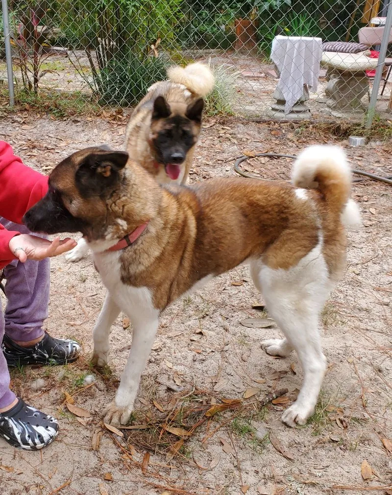 Louis And Anna thumbnail 4