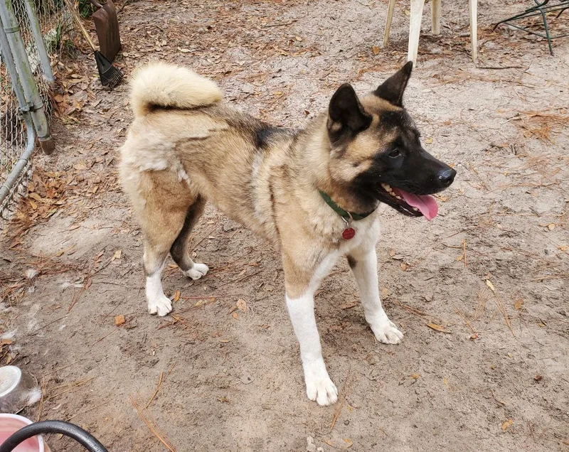 Louis And Anna thumbnail 5