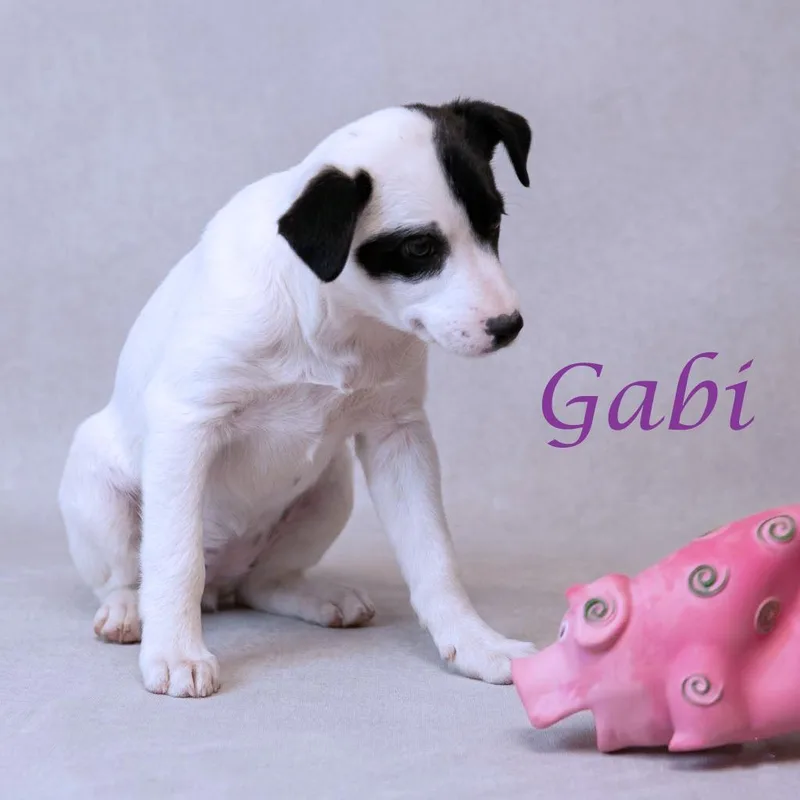 Gabi D thumbnail 2
