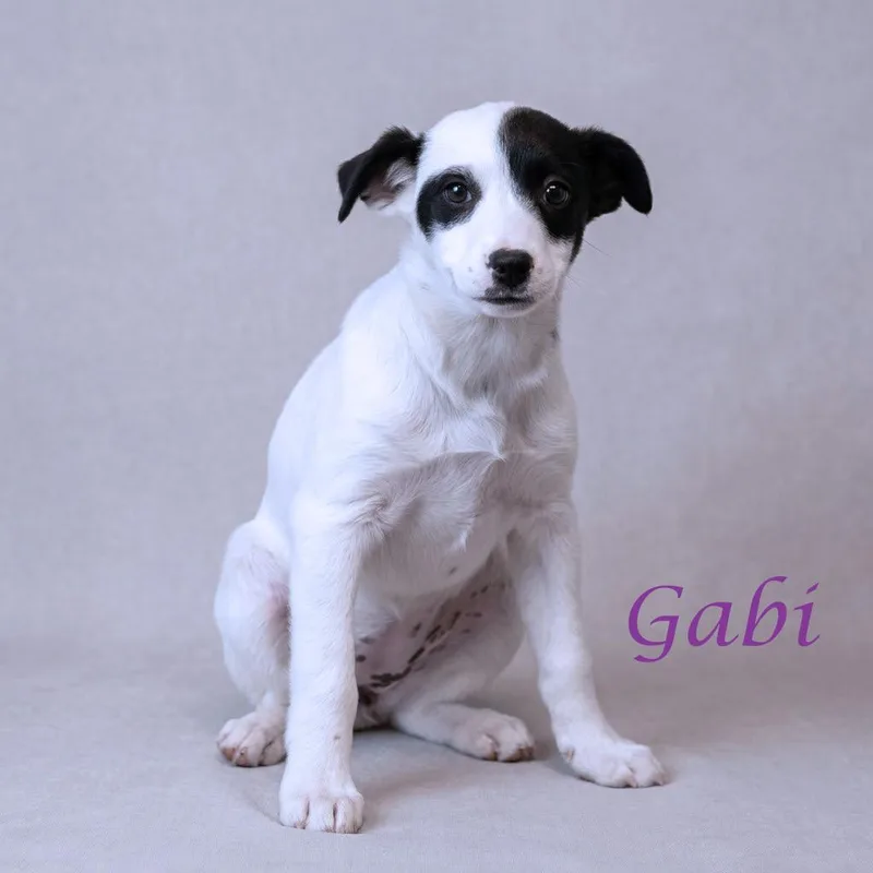 Gabi D thumbnail 3