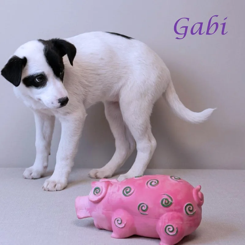 Gabi D thumbnail 4