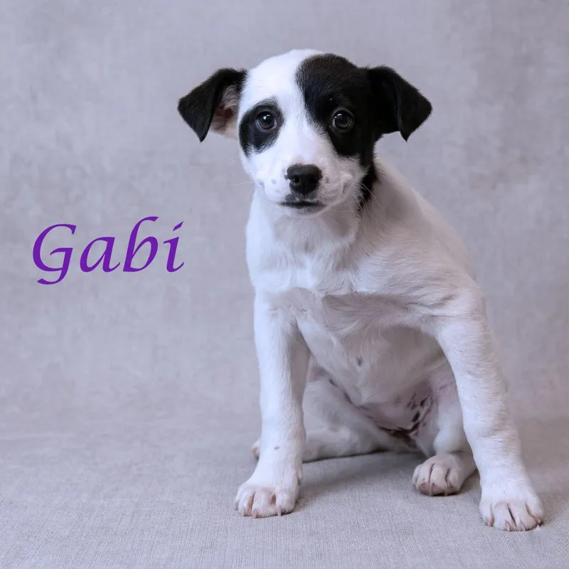 Gabi D thumbnail 5
