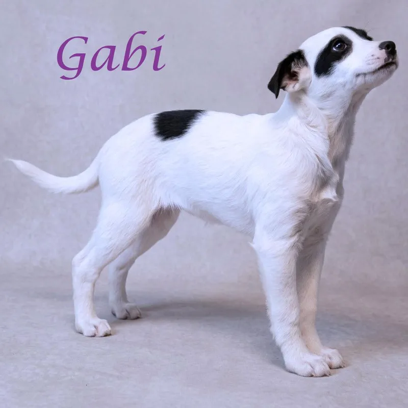 Gabi D thumbnail 6