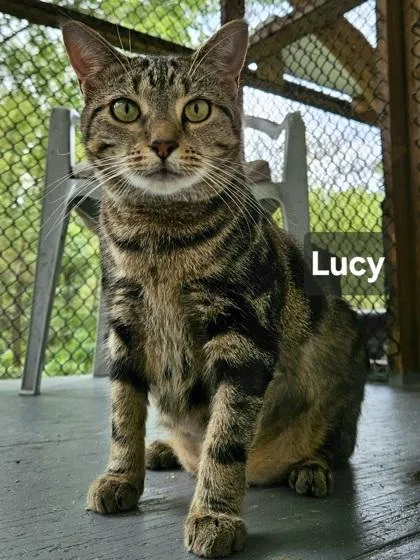 Lucy thumbnail 2