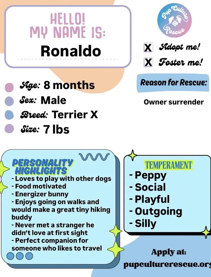 Ronaldo thumbnail 6