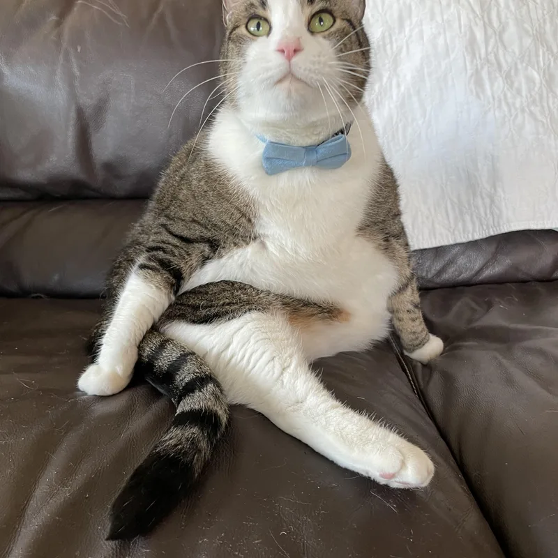 Tamalito thumbnail 2