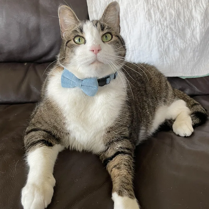 Tamalito thumbnail 3