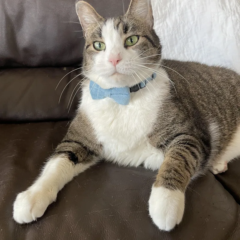 Tamalito thumbnail 4