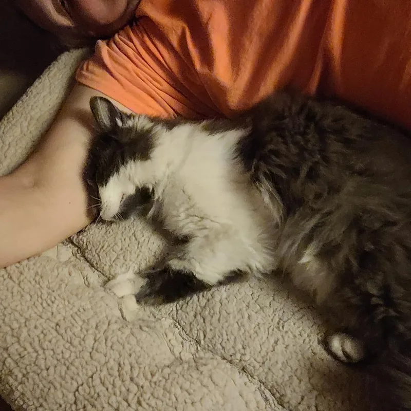 Tommy Phantom thumbnail 4
