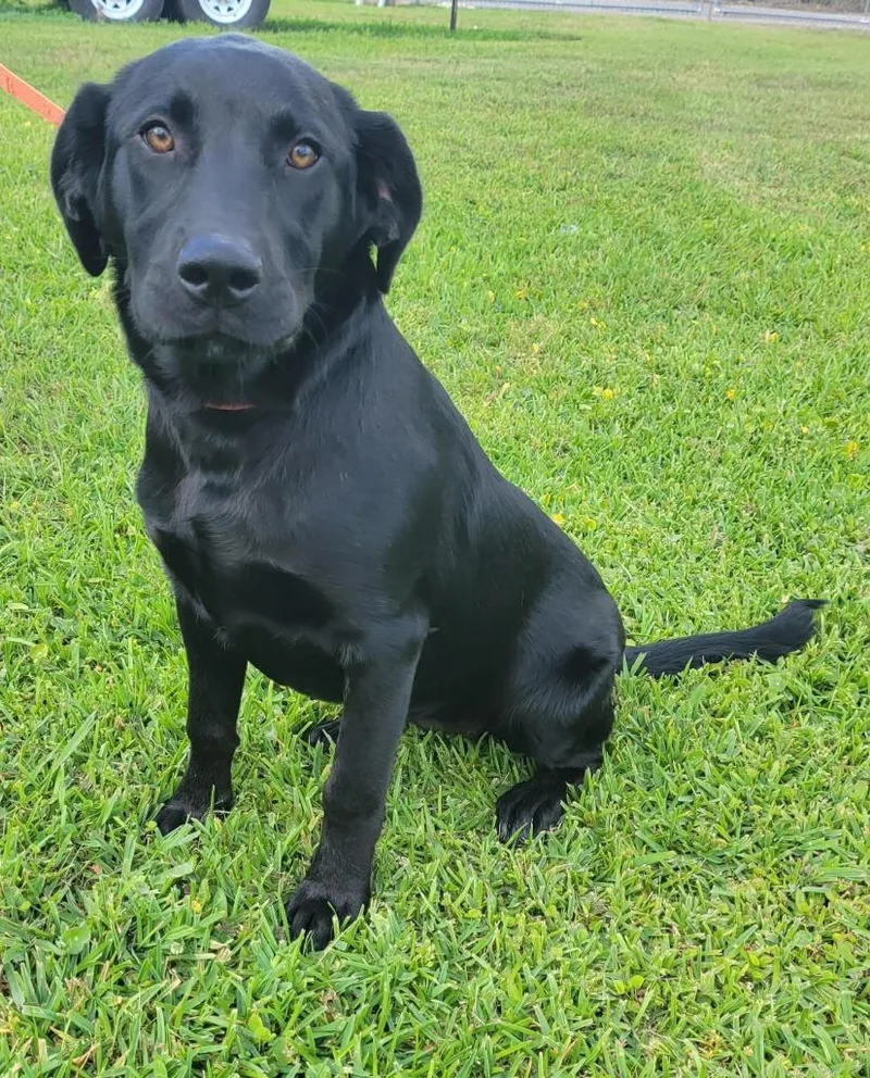 Suzie