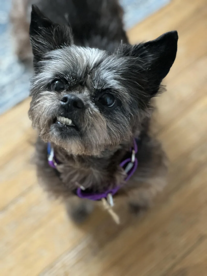 Lilly Beth thumbnail 2