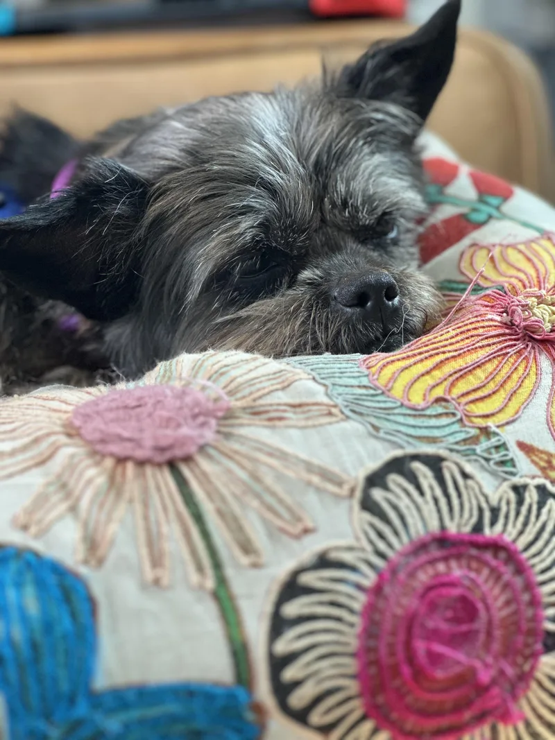 Lilly Beth thumbnail 3