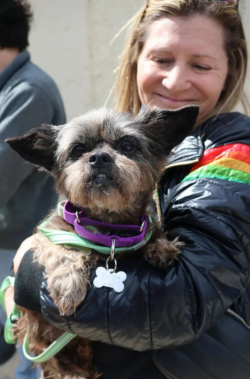 Lilly Beth thumbnail 4