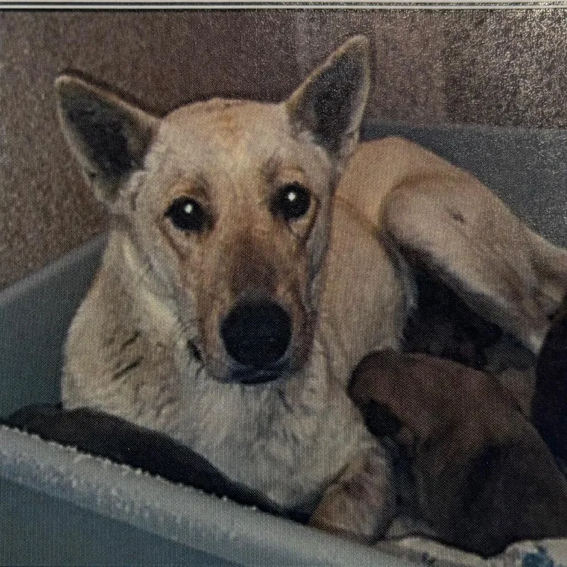 Los Angeles thumbnail 2