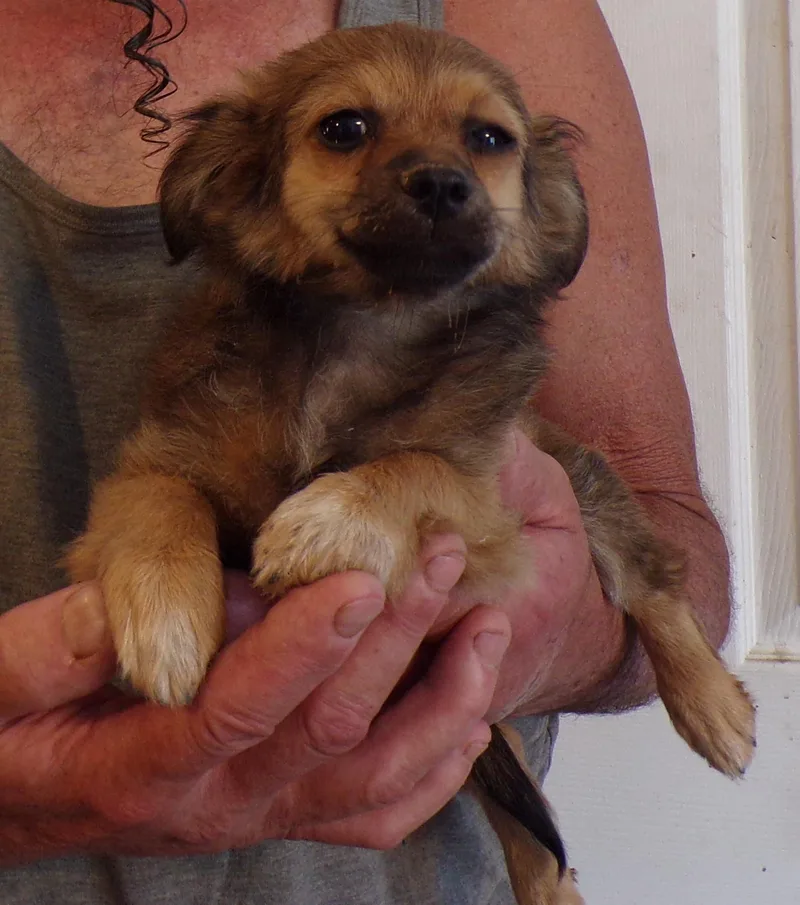 Sasha thumbnail 2