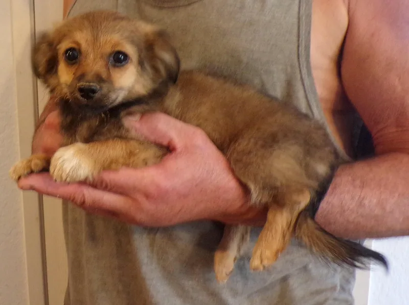 Sasha thumbnail 3