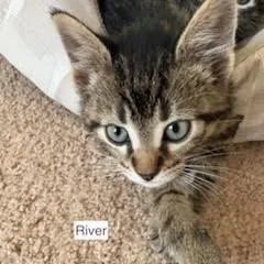 River C