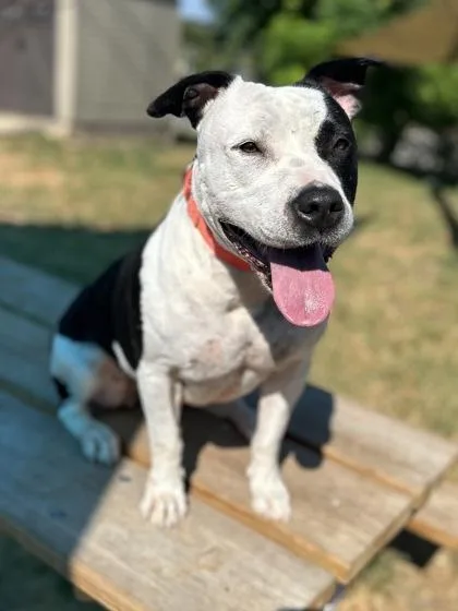 Mrs. Manfredi thumbnail 2