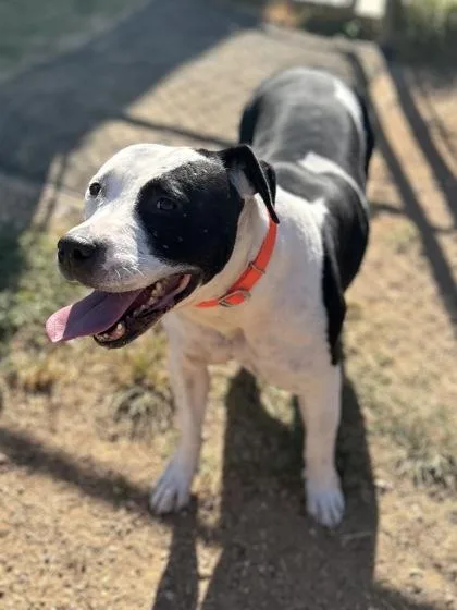 Mrs. Manfredi thumbnail 5