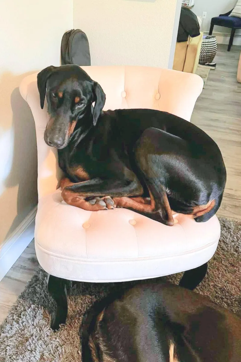 Whinston thumbnail 3