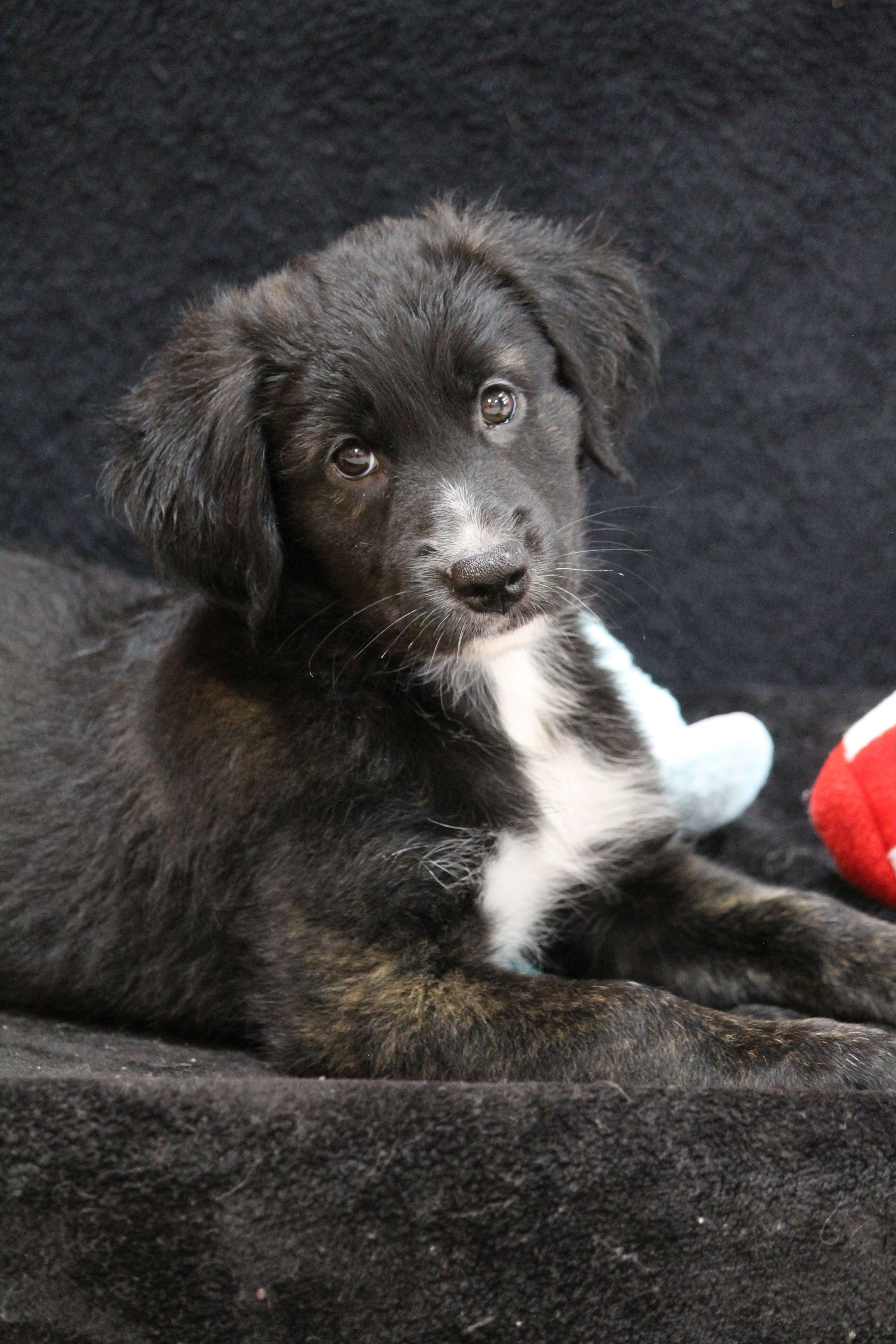 Doris thumbnail 4