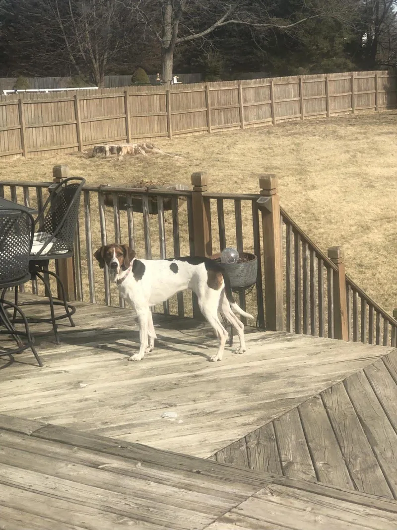 Velcro Aka Velly thumbnail 2