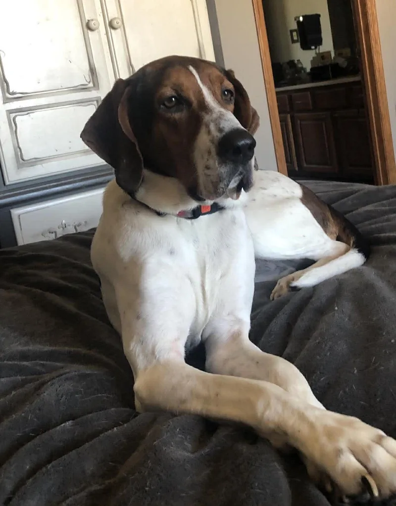 Velcro Aka Velly thumbnail 4