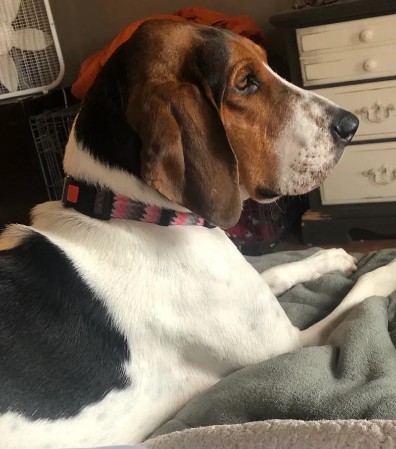 Velcro Aka Velly thumbnail 5