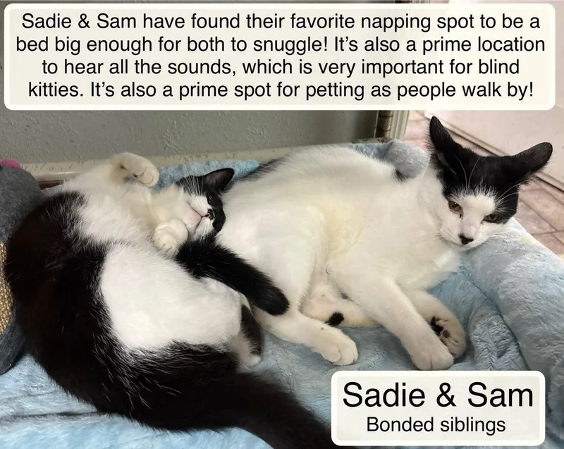 Sam and Sadie thumbnail 4