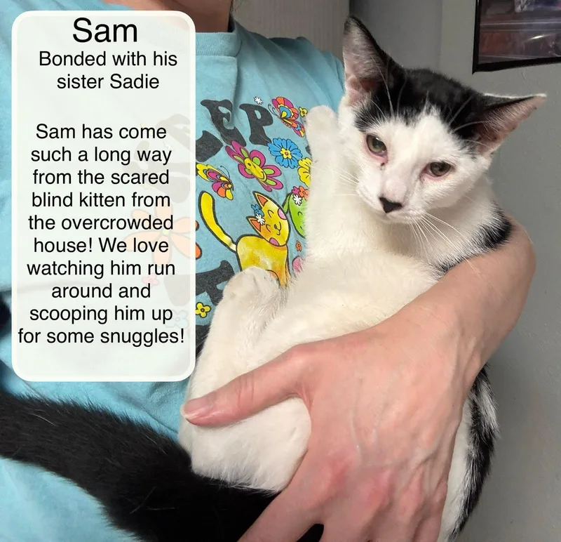 Sam and Sadie thumbnail 6