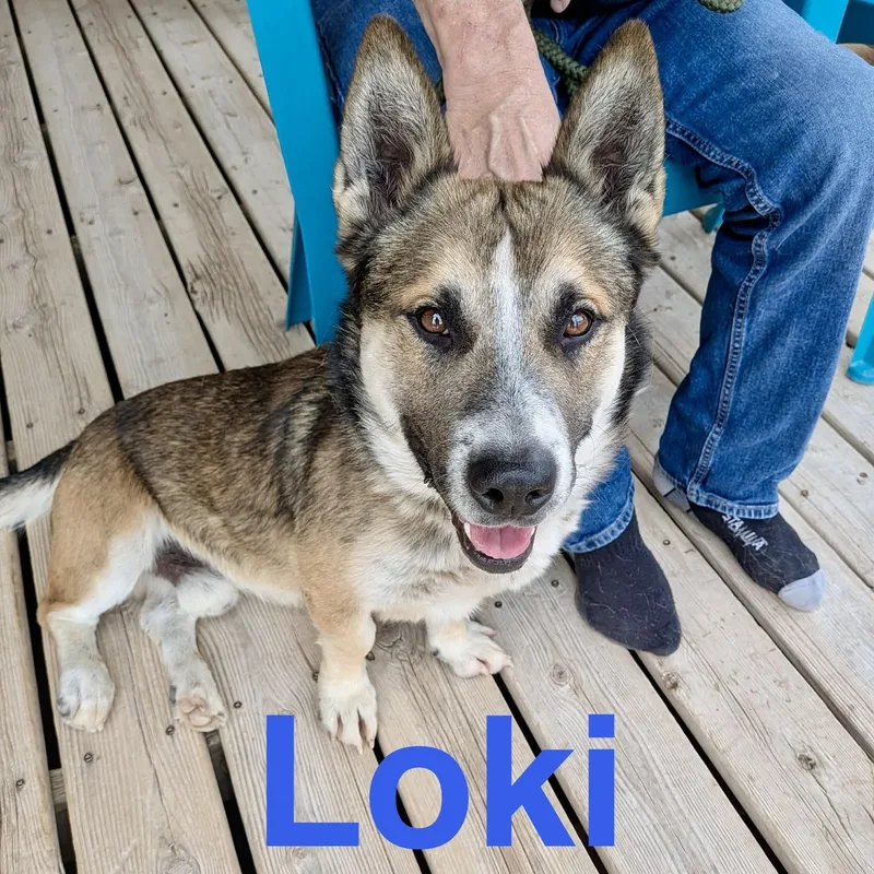 Loki thumbnail 2
