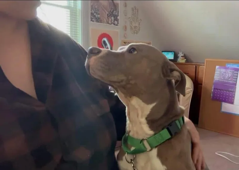 Tyson Dyson thumbnail 4