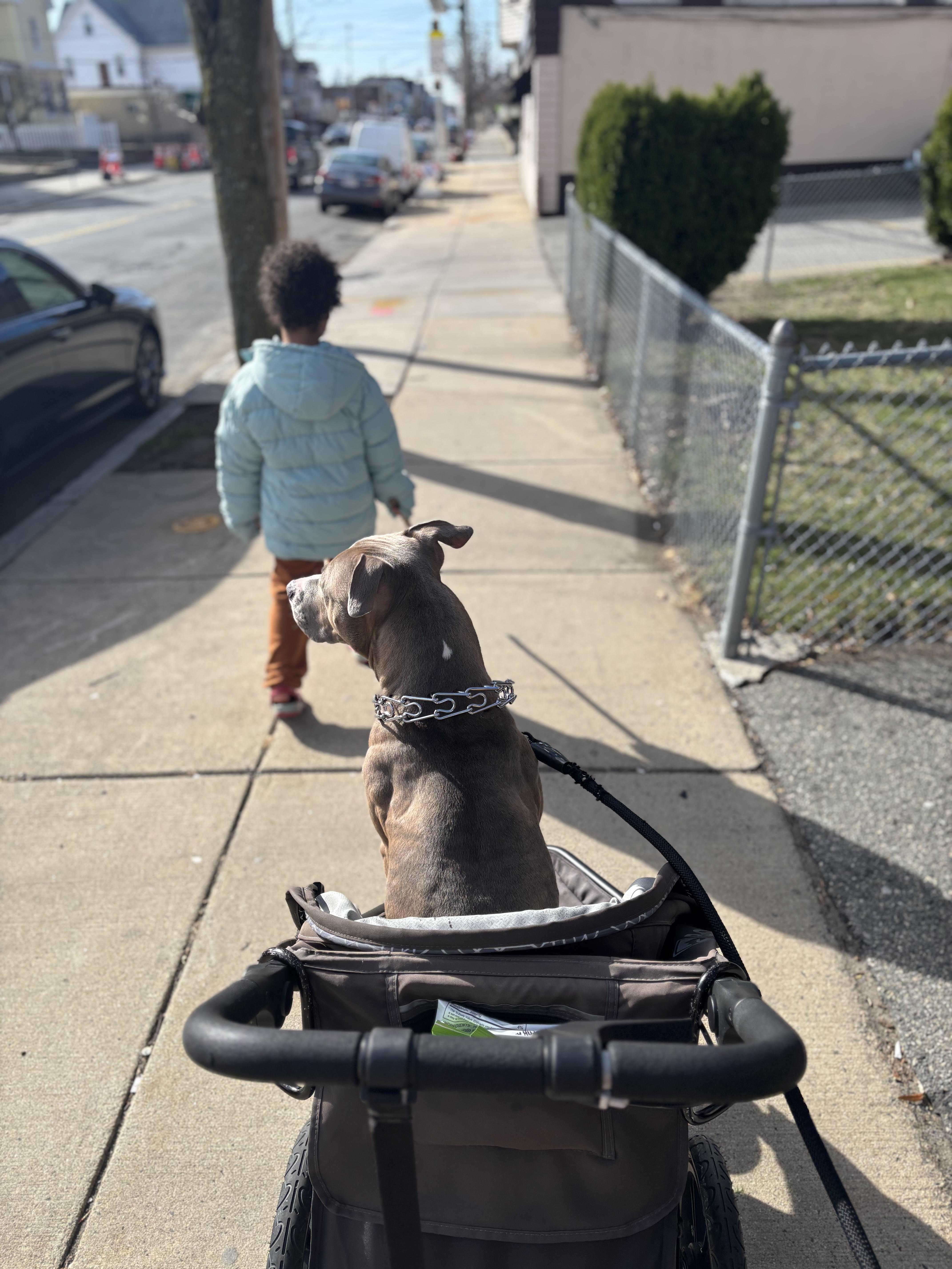 Tyson Dyson thumbnail 5