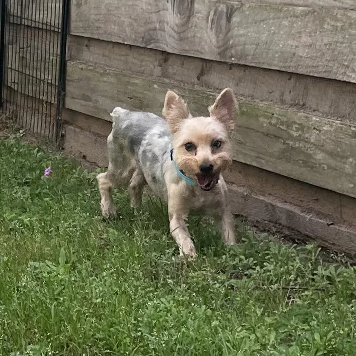 Jolene Marie thumbnail 2