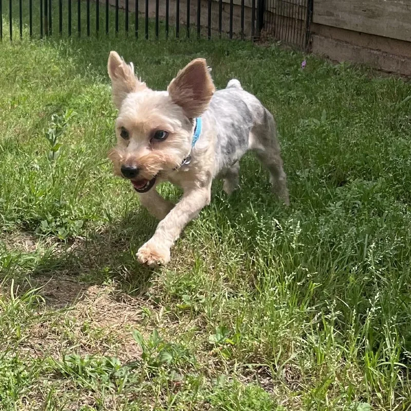 Jolene Marie thumbnail 3