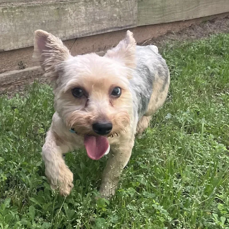 Jolene Marie thumbnail 4