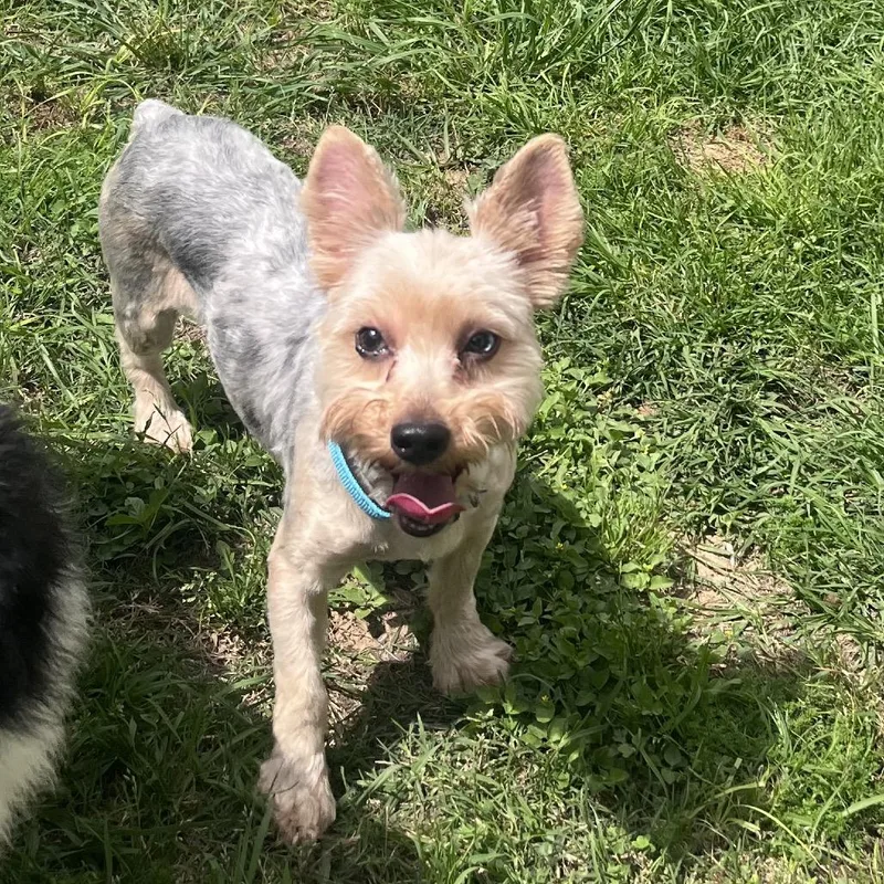 Jolene Marie thumbnail 5