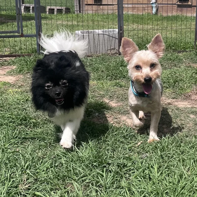 Jolene Marie thumbnail 6