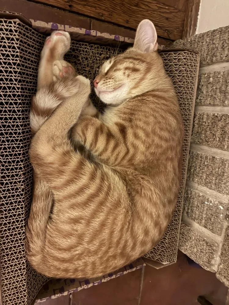 Eric Penman thumbnail 2