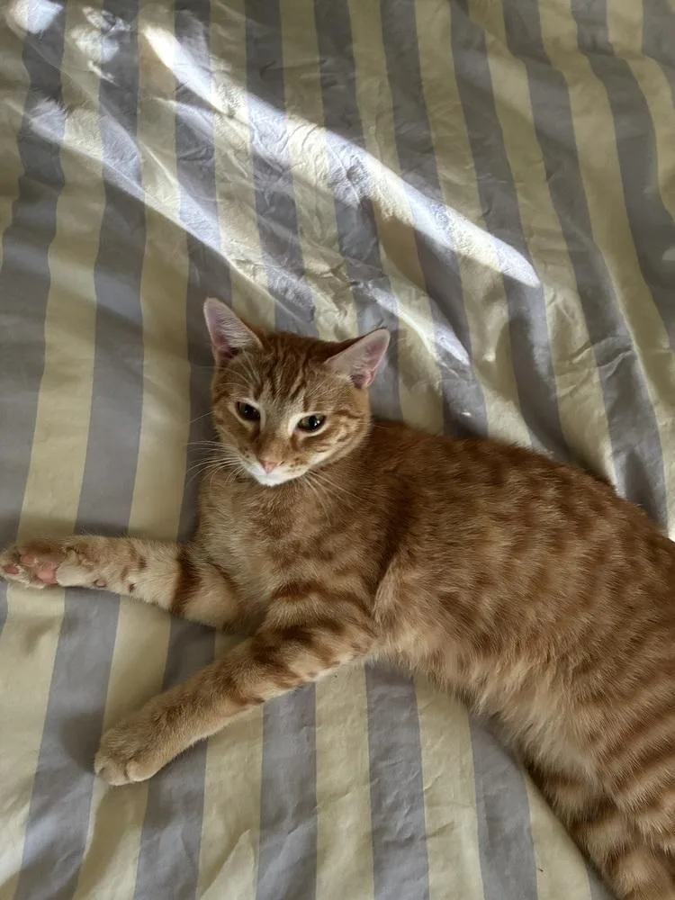 Eric Penman thumbnail 3