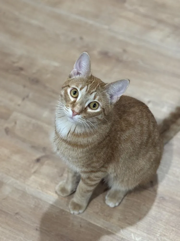 Eric Penman thumbnail 4