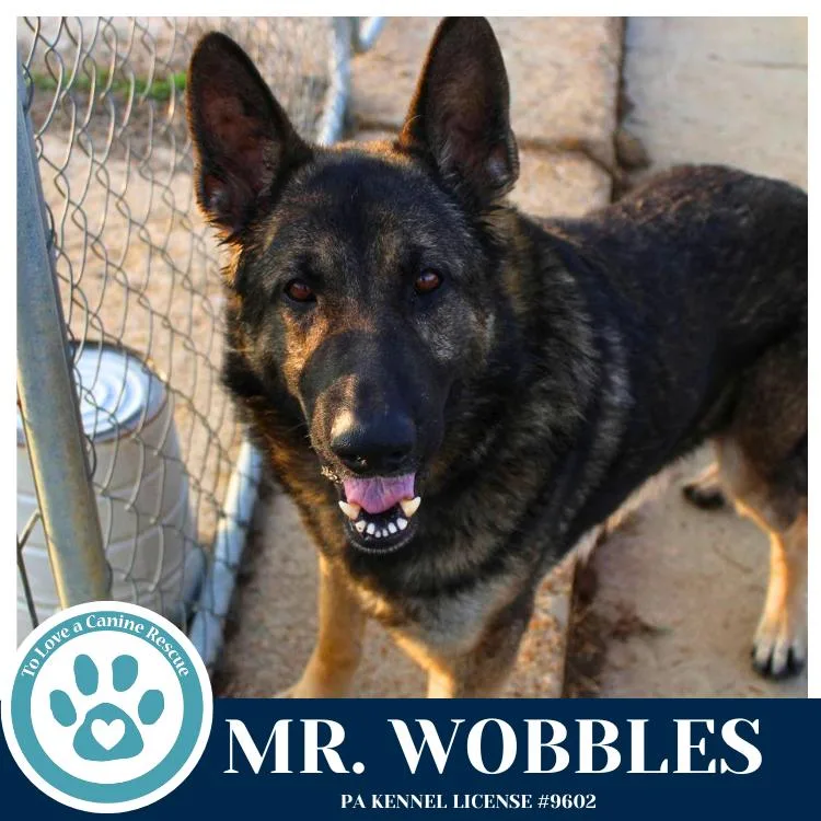 Mr. Wobbles thumbnail 2