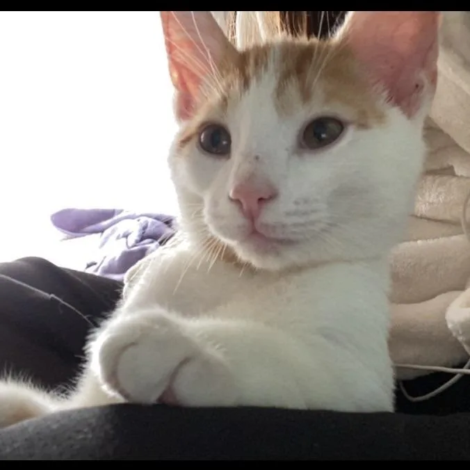 Nathan thumbnail 2