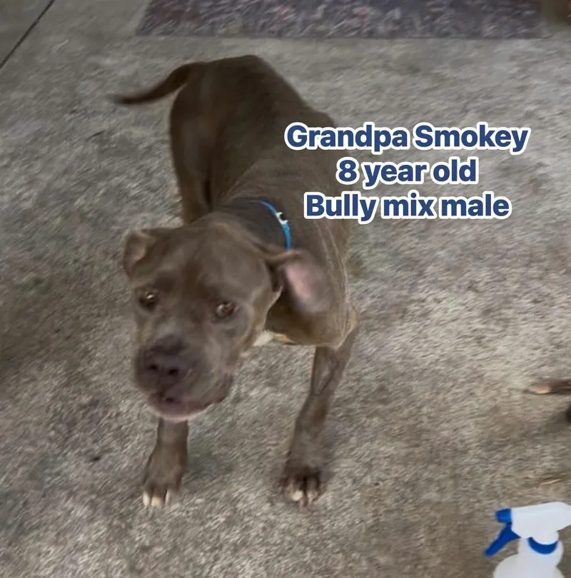Grandpa Smokey