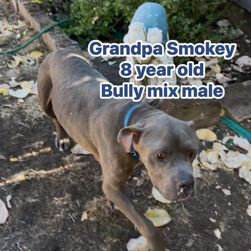 Grandpa Smokey thumbnail 2