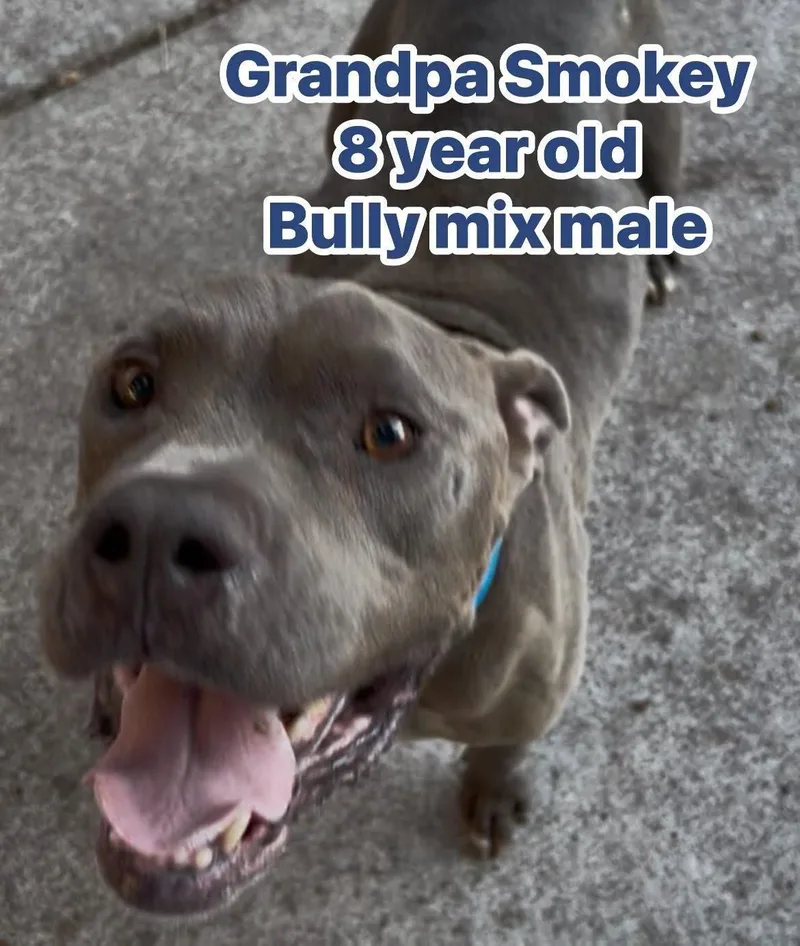 Grandpa Smokey thumbnail 4